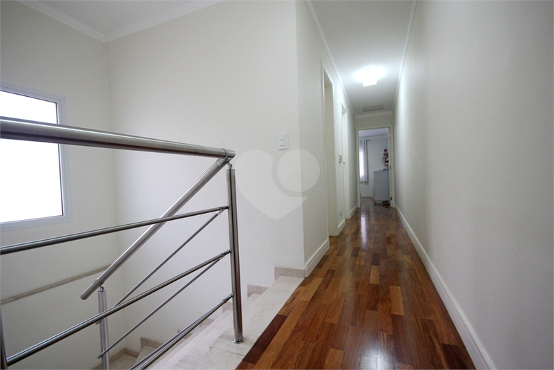 Foto REO385269