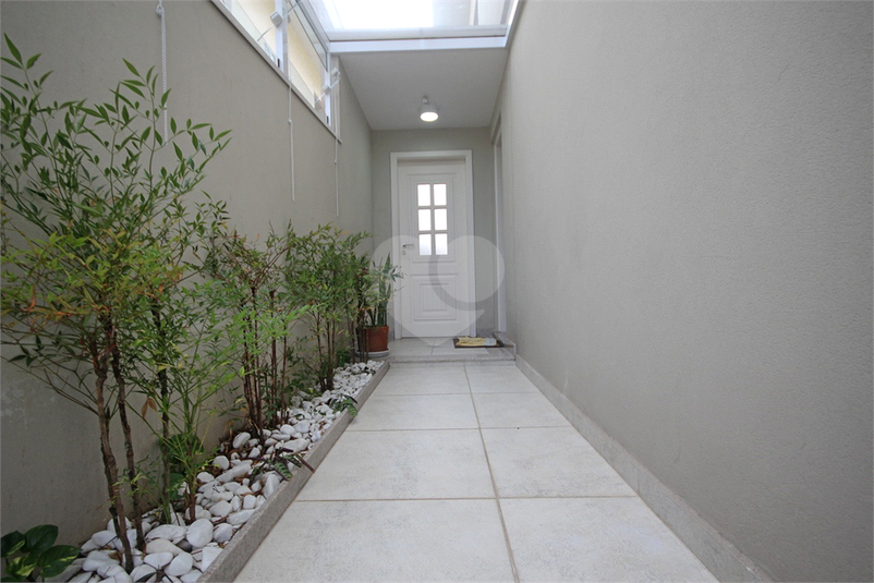 Foto REO385269
