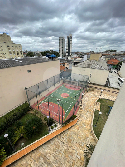 Foto REO385451