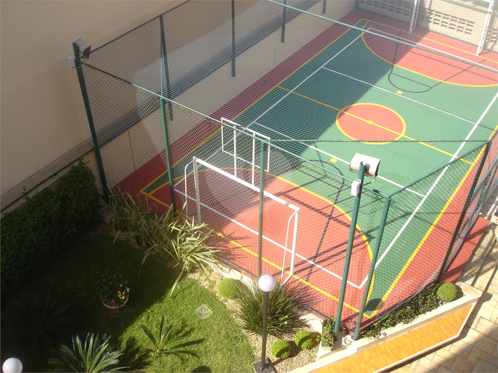 Foto REO385451