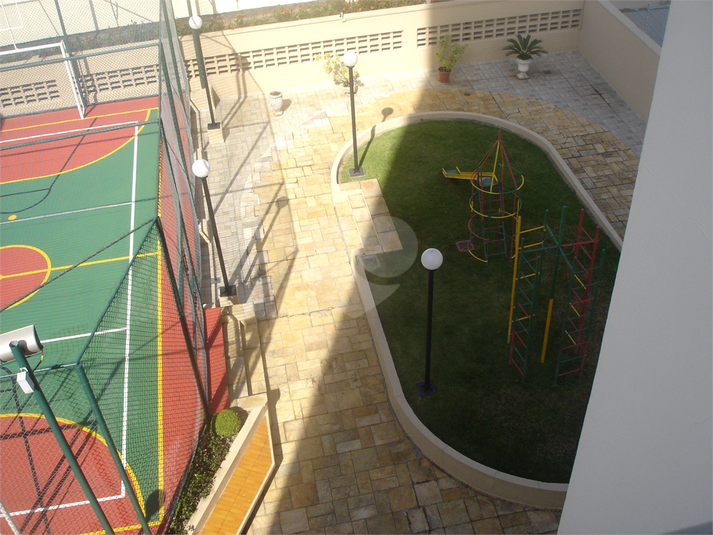 Foto REO385451