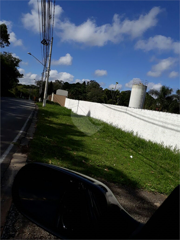 Foto REO385894
