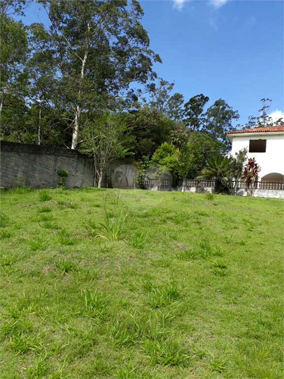 Foto REO385894