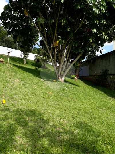 Foto REO385894