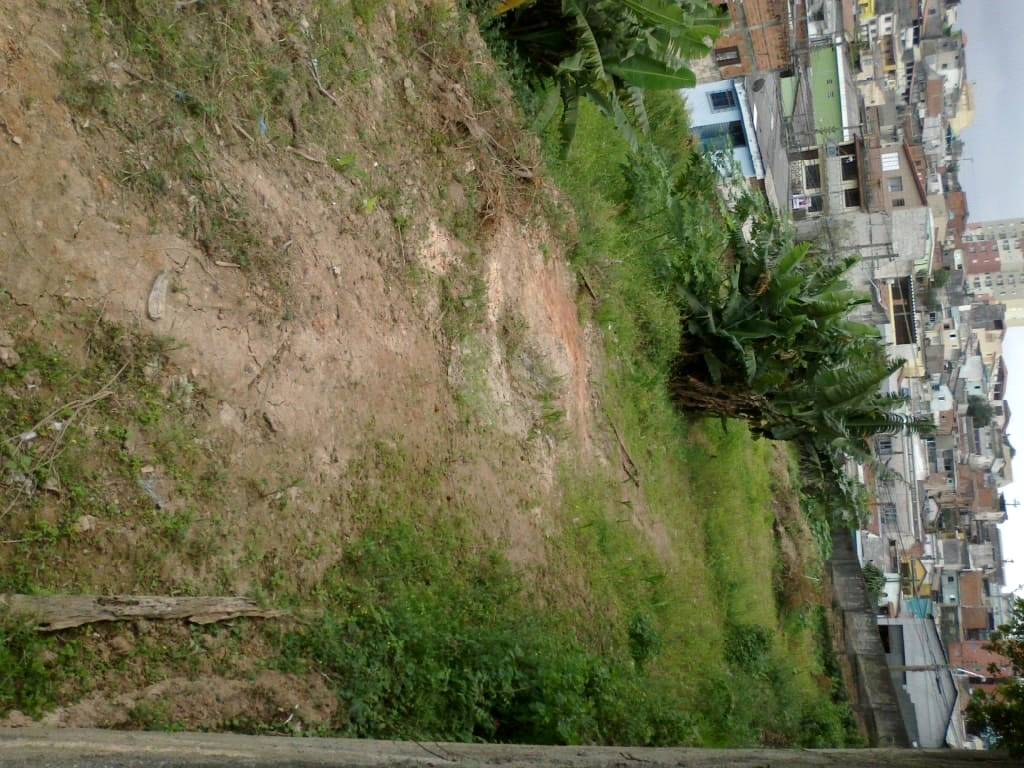 Aluguel Terreno São Paulo Imirim REO386048 9