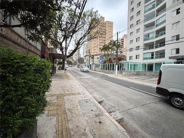 Foto REO386110