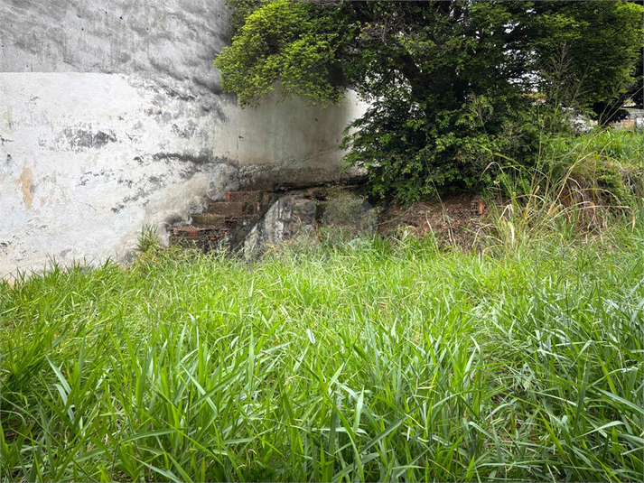 Foto REO386110