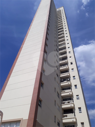 Foto REO386248