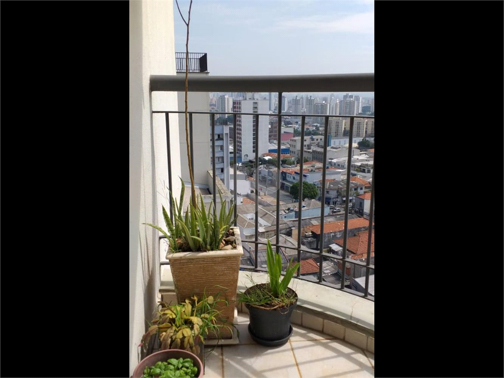 Venda Apartamento São Paulo Mooca REO386292 2