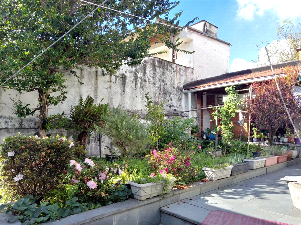 Venda Casa térrea São Paulo Vila Paulicéia REO386340 3