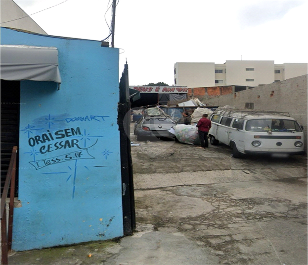 Foto REO386488