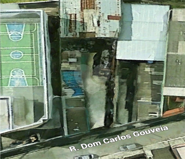 Foto REO386488