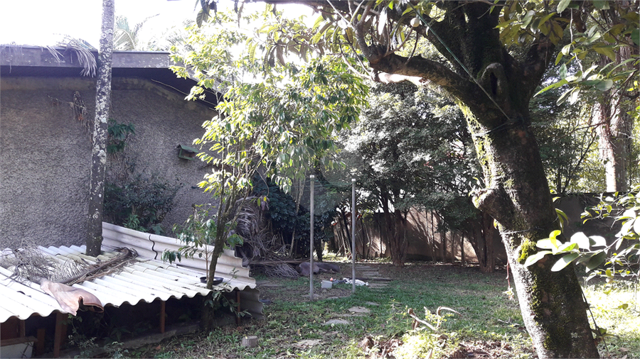 Foto REO386535