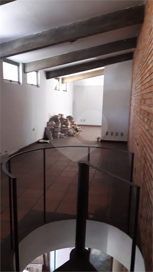 Foto REO386535