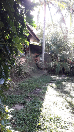 Foto REO386535