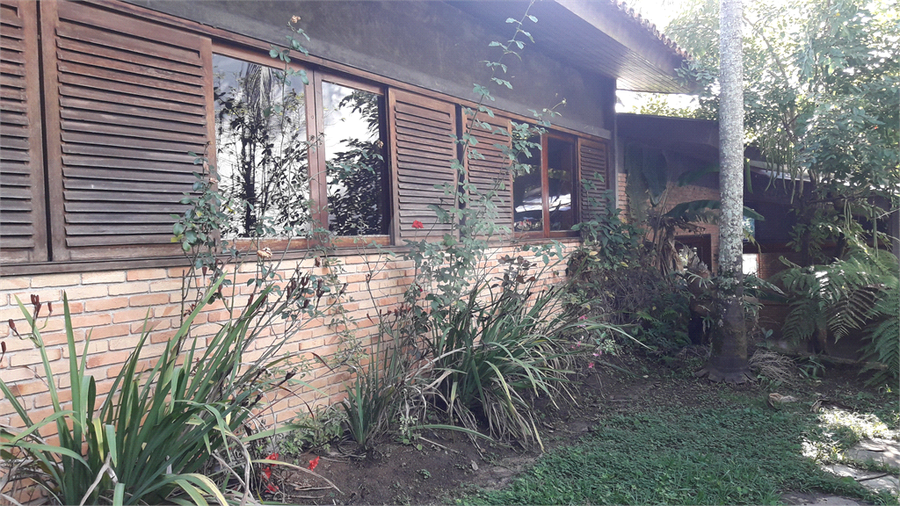 Foto REO386535