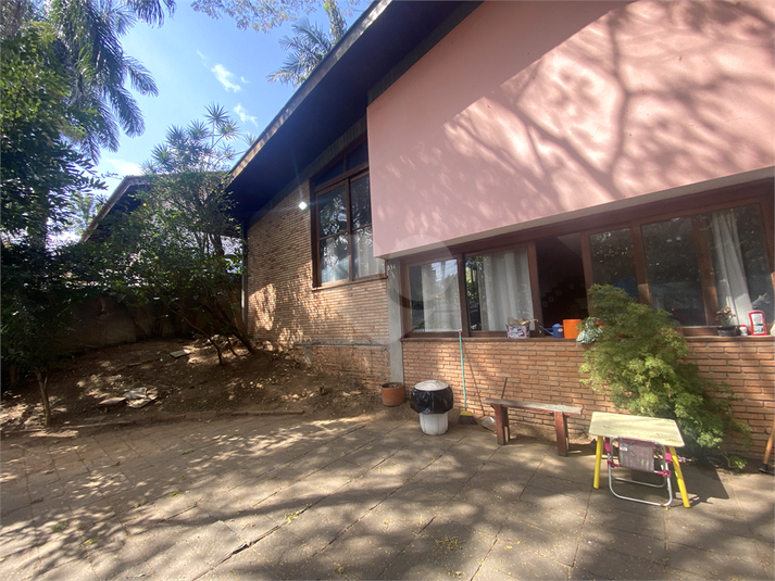 Foto REO386535