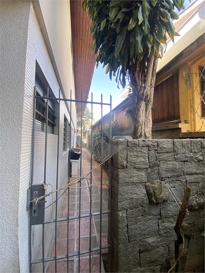 Foto REO386535