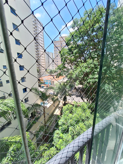 Foto REO386544