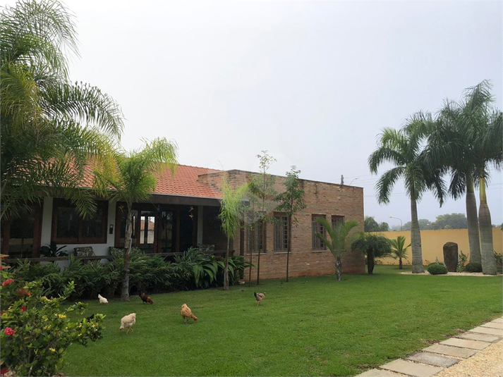 Foto REO386842