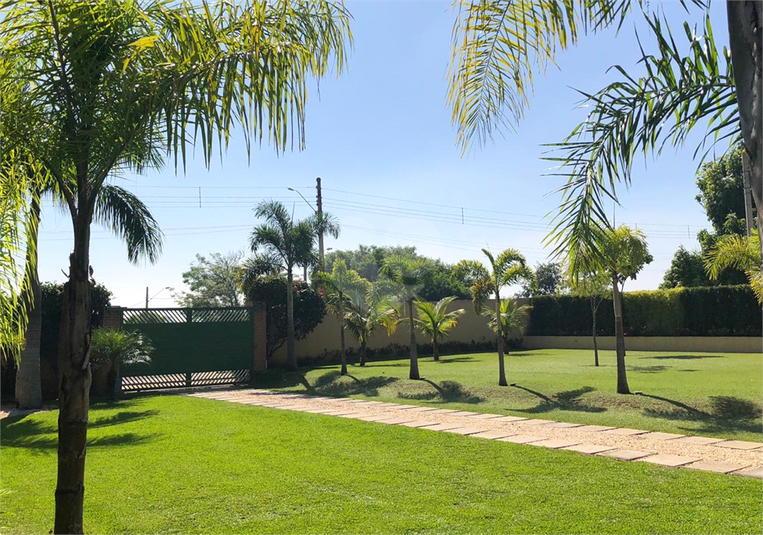 Foto REO386842