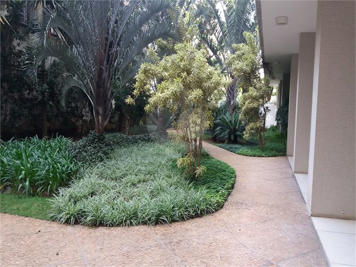 Foto REO386952