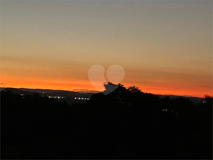 Foto REO386960