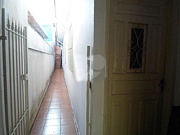 Foto REO387116
