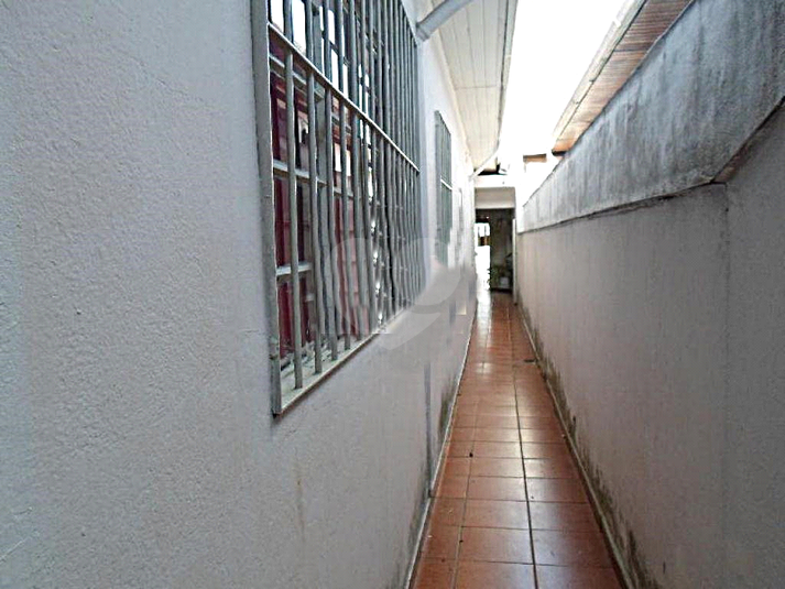 Foto REO387116