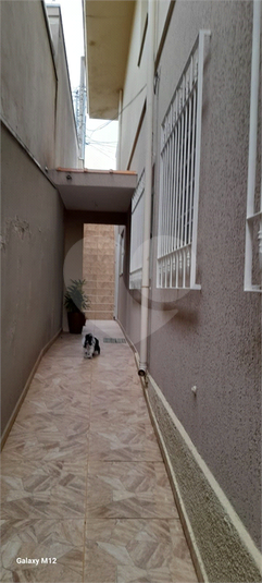 Foto REO387210