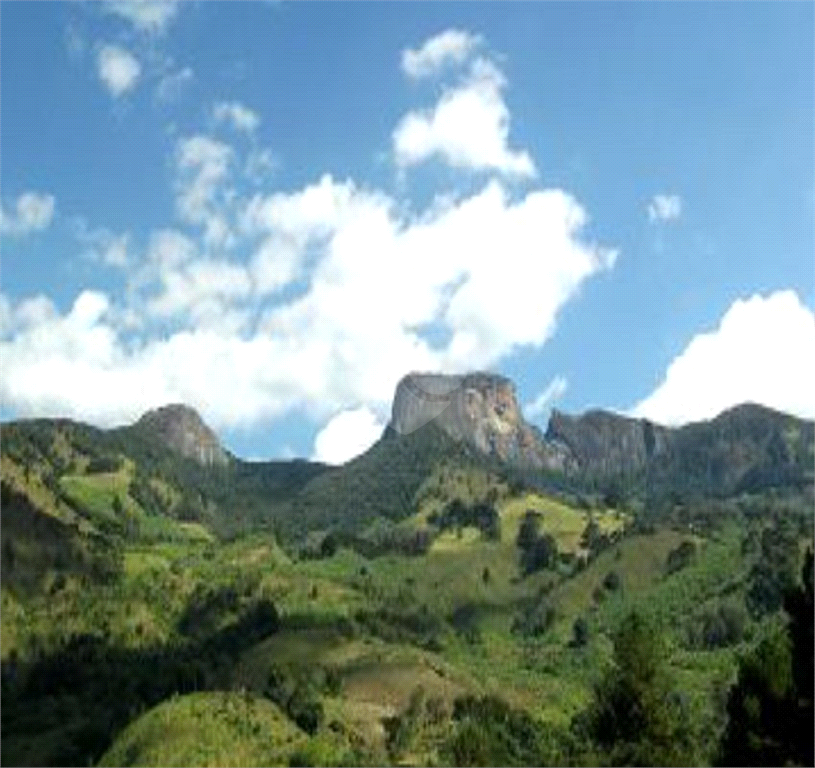 Venda Sítio Campos Do Jordão Santa Barbara REO387232 14