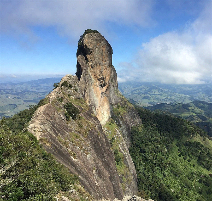 Venda Sítio Campos Do Jordão Santa Barbara REO387232 10