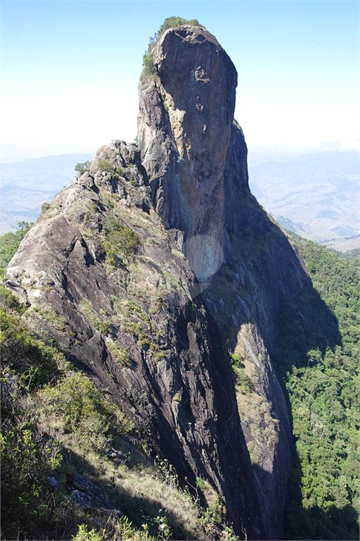 Venda Sítio Campos Do Jordão Santa Barbara REO387232 11