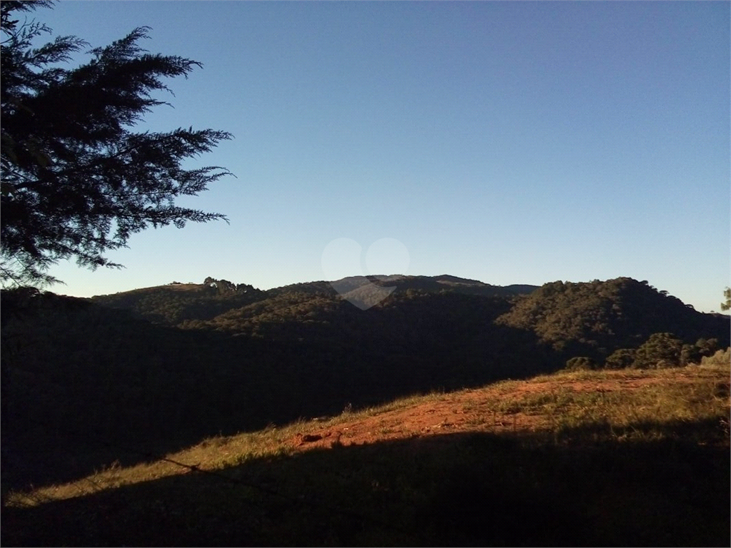 Venda Sítio Campos Do Jordão Santa Barbara REO387232 3