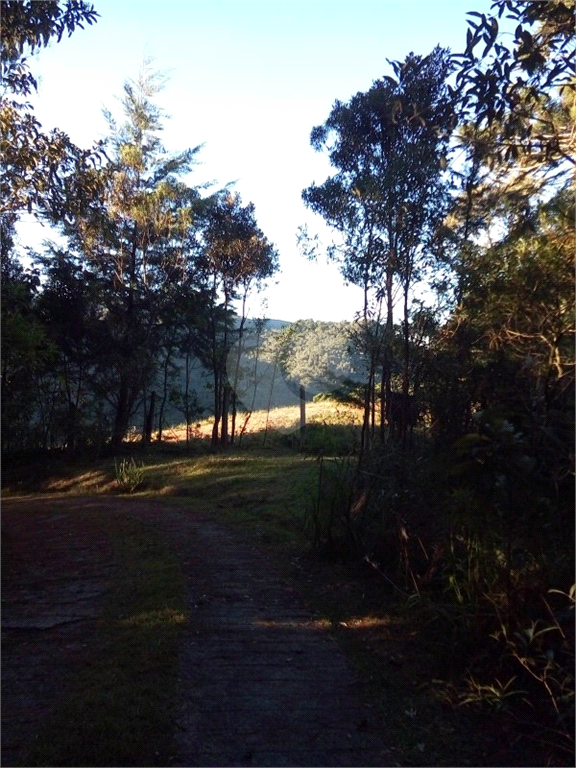 Venda Sítio Campos Do Jordão Santa Barbara REO387232 2