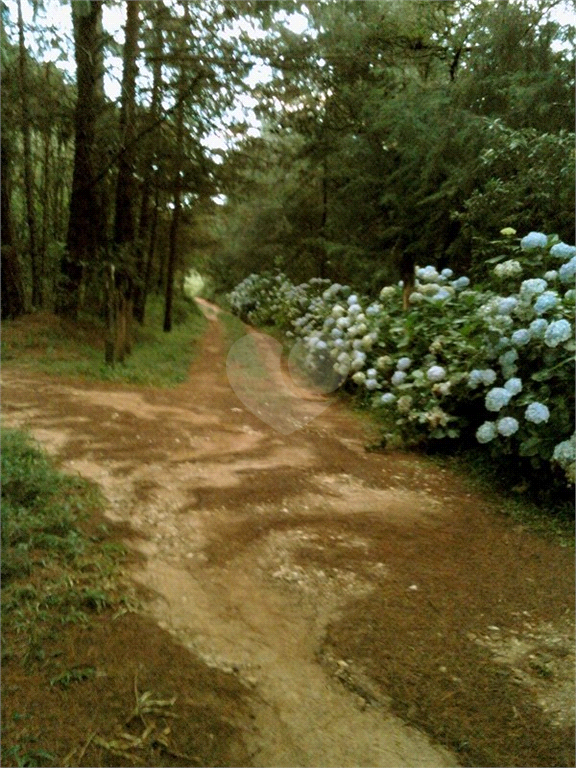 Venda Sítio Campos Do Jordão Santa Barbara REO387232 9