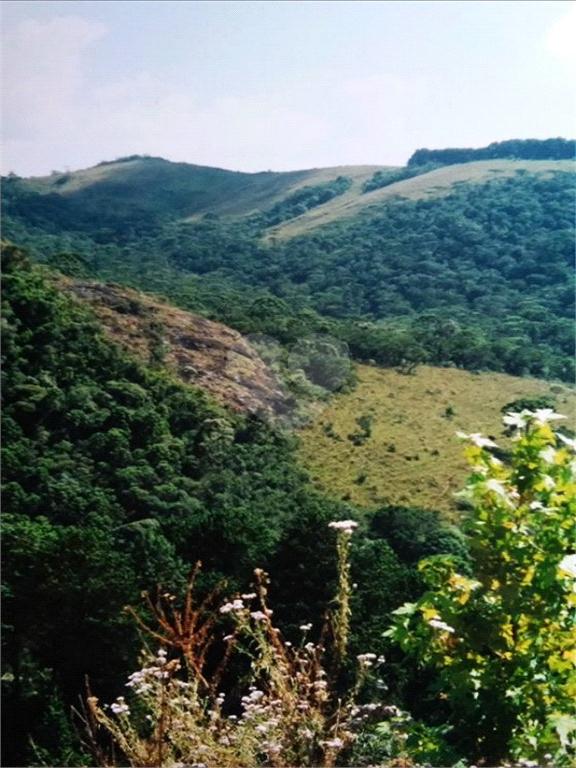 Venda Sítio Campos Do Jordão Santa Barbara REO387232 12