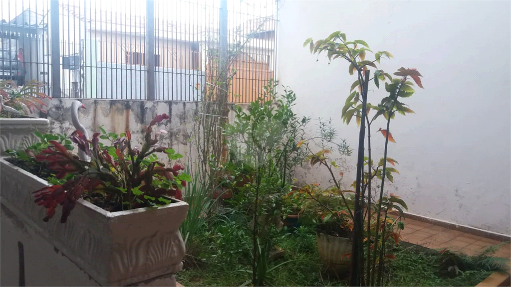 Venda Casa São Paulo Vila Divina Pastora REO387285 6