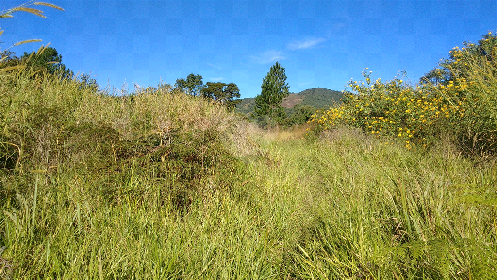 Venda Área de Terra Mairiporã Jardim São Gonçalo REO387313 4