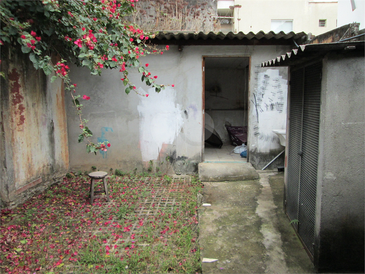 Foto REO387573
