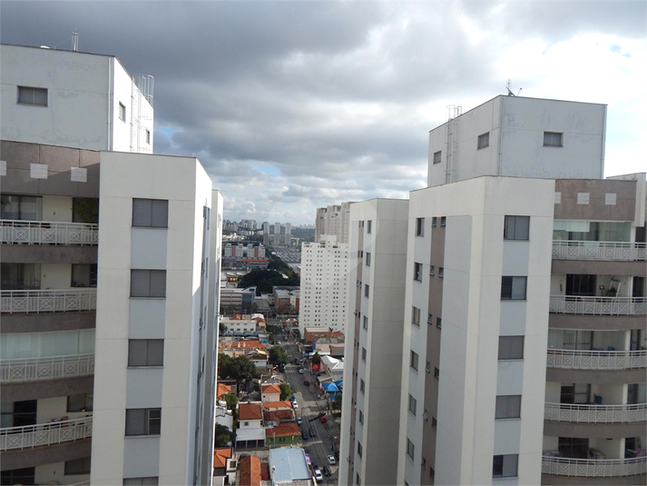 Foto REO387861