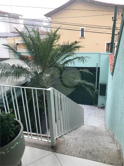 Foto REO387865