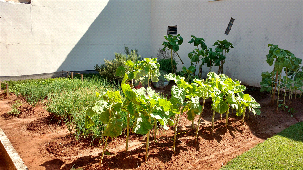 Venda Casa Paranapanema Centro REO387866 22