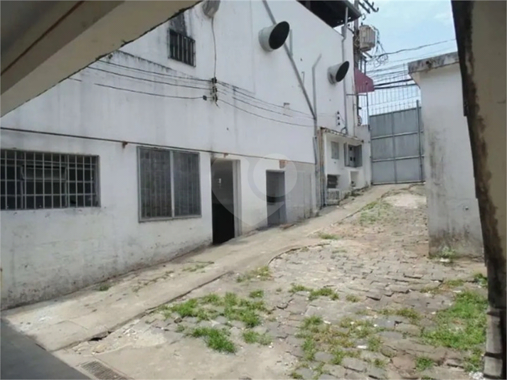 Foto REO388949