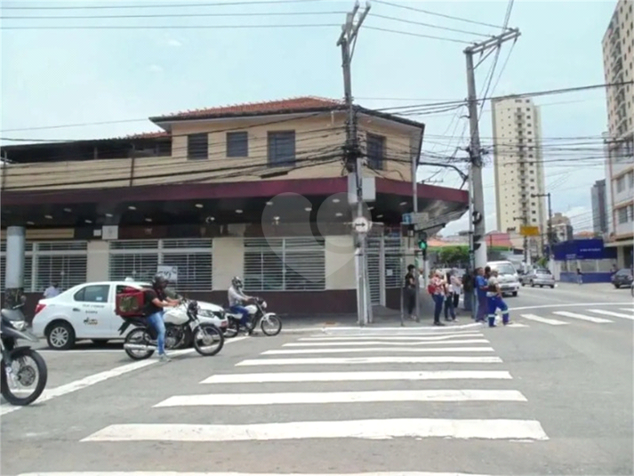 Foto REO388949