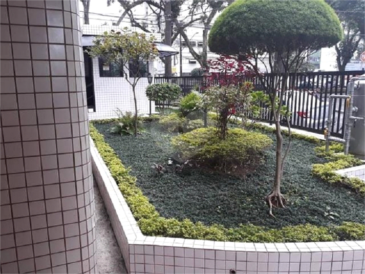 Foto REO389012