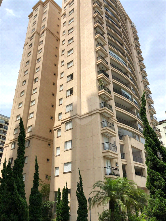 Venda Apartamento São Paulo Vila Mascote REO389231 18