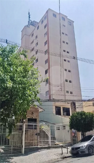 Foto REO389262