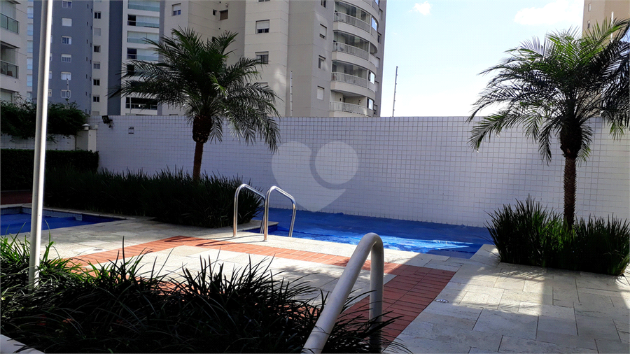 Foto REO389434
