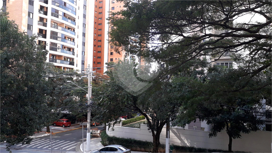 Foto REO389434